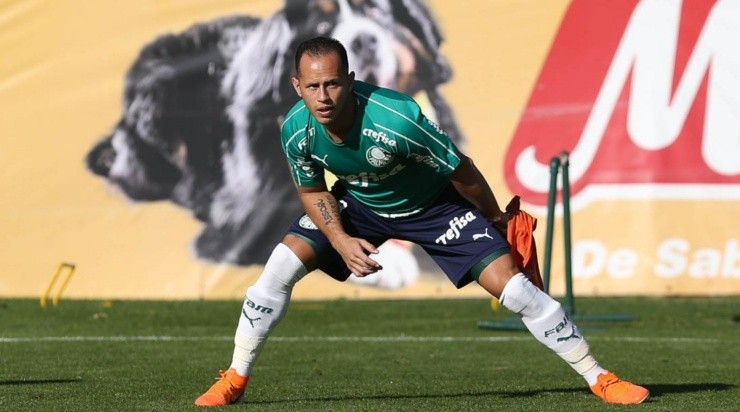 Foto: Palmeiras/Divulgação