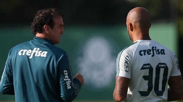 Divulgação/Palmeiras