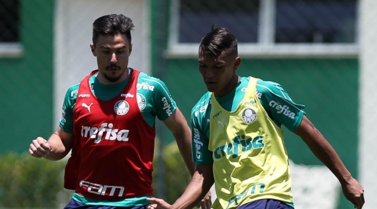 Cesar Greco/Palmeiras