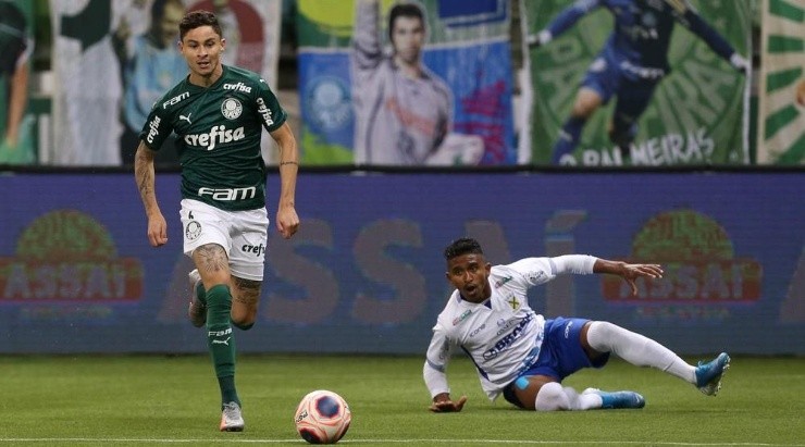 Divulgação/Palmeiras