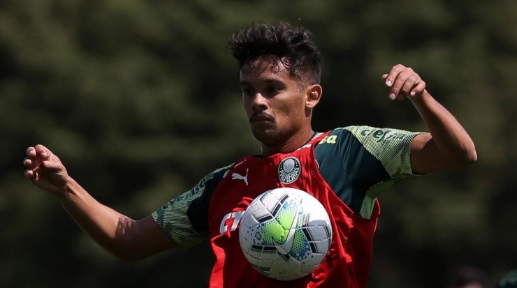 Foto: Cesar Greco/Palmeiras/Divulgação