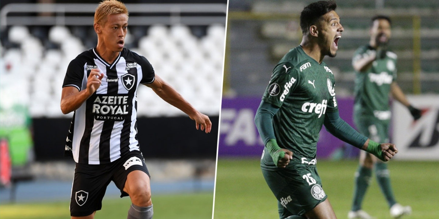 Brasileirão  Botafogo x Palmeiras Data, horário e cana para assistir