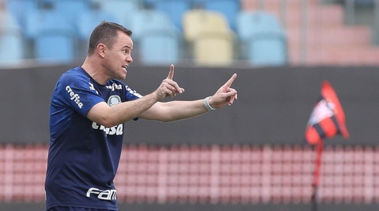 Andrey Lopes: interino conseguiu bom desempenho (Foto: Cesar Greco/Divulgação/Palmeiras)