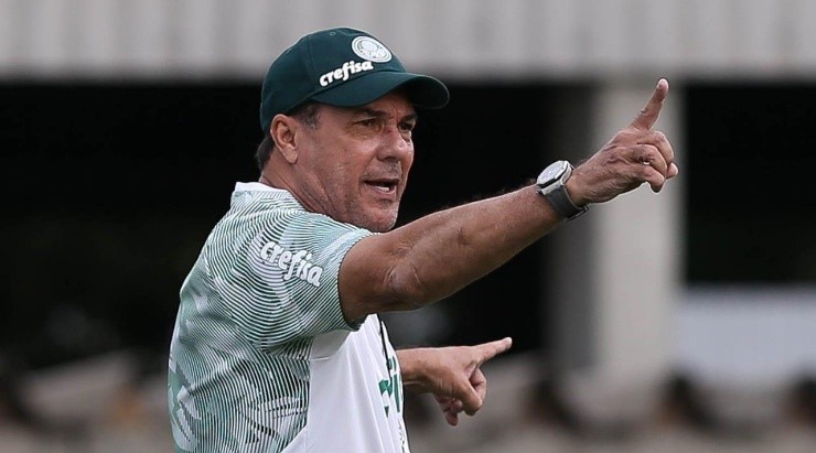 Foto: Cesar Greco/Palmeiras/Divulgação Vanderlei Luxemburgo