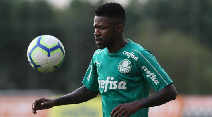 Divulgação/Palmeiras