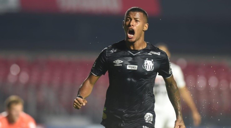 Foto: Ivan Storti/Santos FC