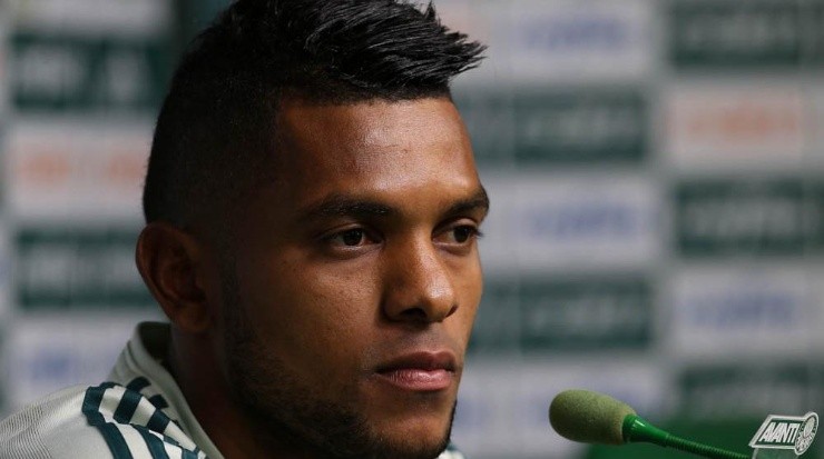 Divulgação/Palmeiras