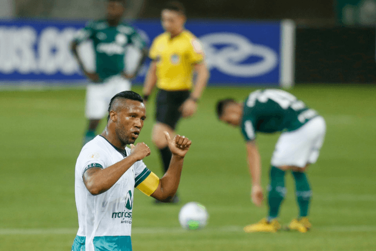 Goias venceu o Palmeiras neste Brasileirão. (Foto: Getty Images)