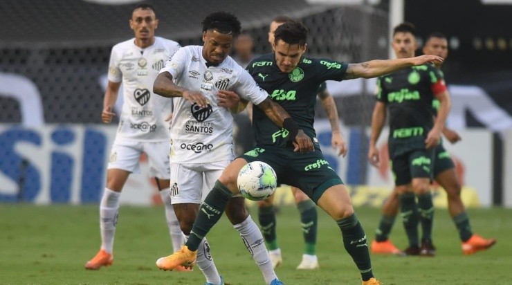 Foto: Ivan Storti/Santos FC