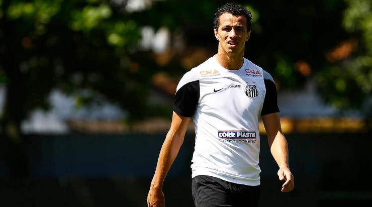Damião: negócio acabou causando dívida (Ricardo Saibun/Santos FC/Divulgação)