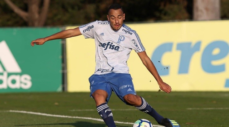 Papagaio se reapresentará no Palmeiras na próxima segunda-feira (1). Foto: César Greco/Palmeiras