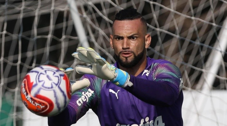 Weverton em ação pelo Palmeiras. Foto: César Greco/Palmeiras