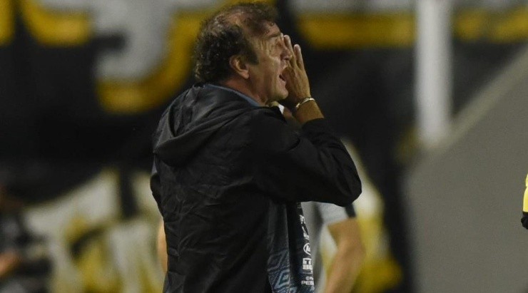 Cuca durante Santos x Coritiba: vitória deixou o Peixe na 8ª posição (Foto: Ivan Storti/Santos FC/Divulgação)