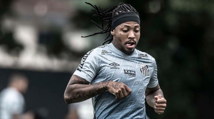 Foto: Ivan Storti/Flickr do Santos FC/Divulgação