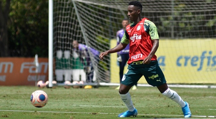 Angulo está de volta ao Palmeiras - Foto: Bruno Ulivieri/AGIF.