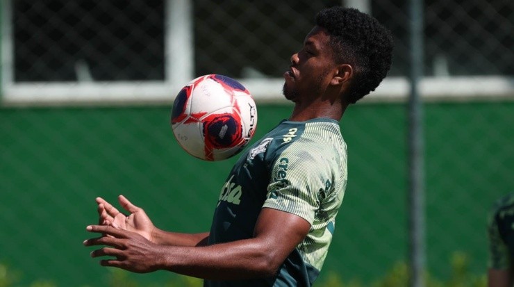 Newton deixou boa impressão - Foto: Cesar Greco/Flickr Oficial do Palmeiras/Divulgação.