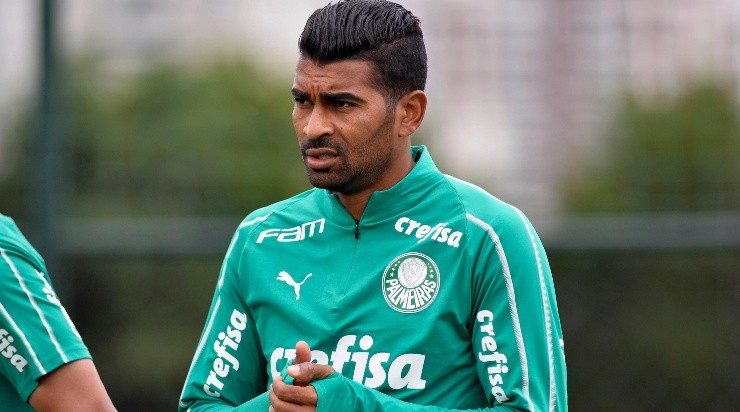 Thiago Santos: chega ao Tricolor após títulos pelo Palmeiras (Foto: Bruno Ulivieri/AGIF)