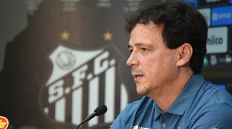 Diniz: ciente dos problemas financeiros do Peixe (Foto: Ivan Storti/Santos FC/Divulgação)