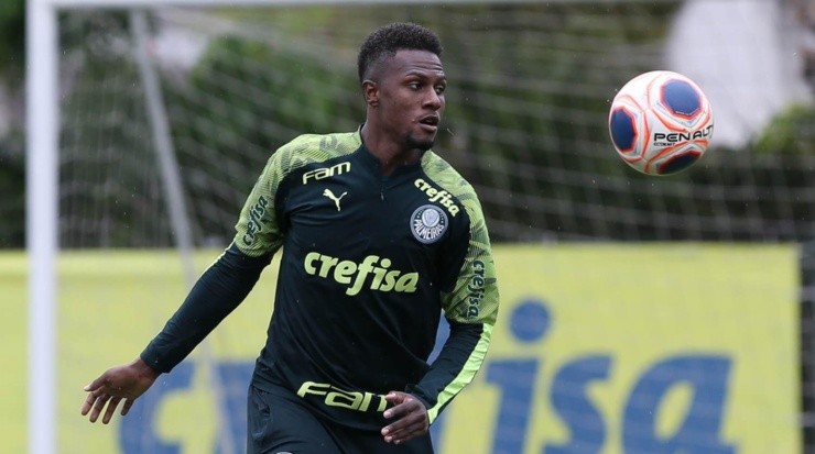 Pedrão: de volta ao Verdão (Foto: Cesar Greco/Flickr do Palmeiras/Divulgação)