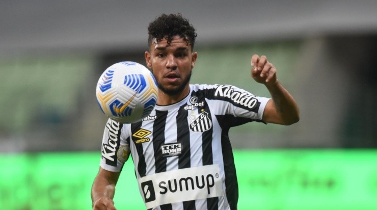 Foto: Ivan Storti/Santos FC