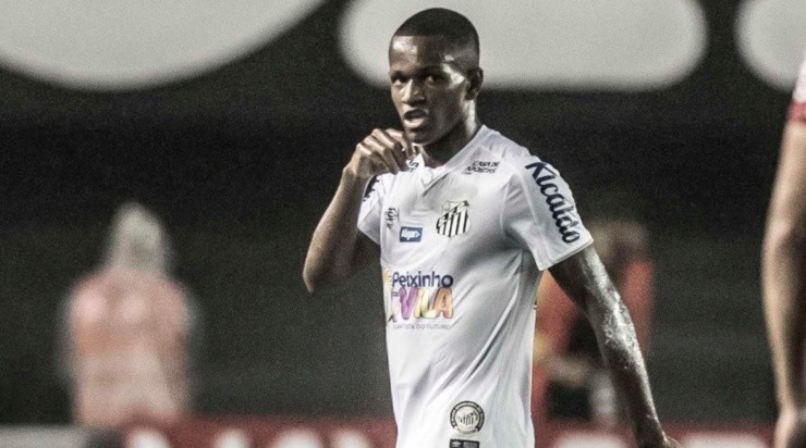 Foto: Ivan Storti/Santos FC