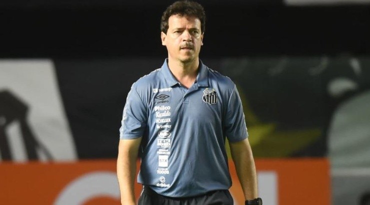Diniz: novo técnico deixou o Santos recentemente (Foto: Ivan Storti/Santos FC/Divulgação)