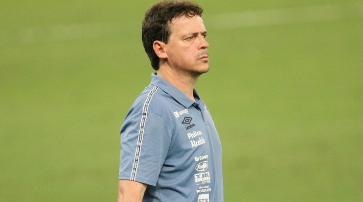 Diniz: estreia será longe de São Januário (Foto: Gil Gomes/AGIF)