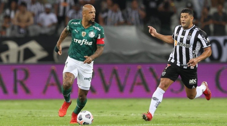 O volante teve boas atuações na Libertadores (Foto: Cesar Greco/Palmeiras/Divulgação)