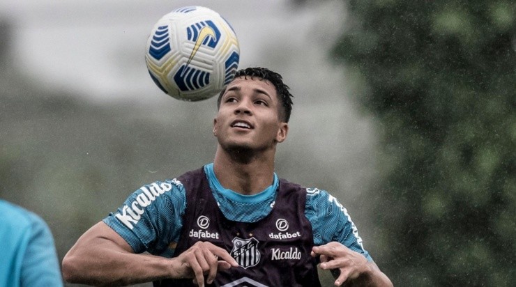 Foto: Ivan Storti/Santos FC