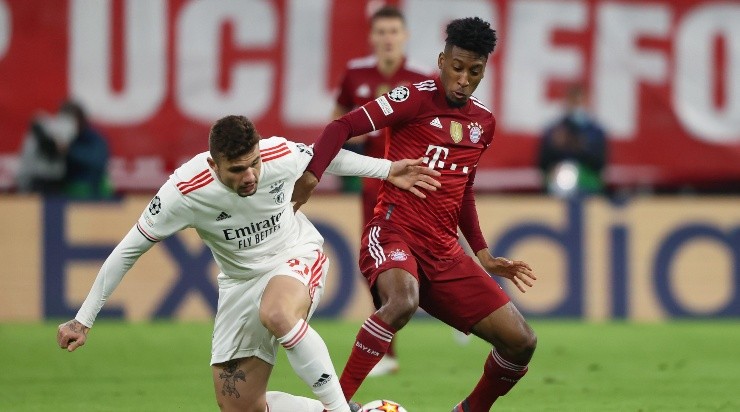 Foto: Alexander Hassenstein/Getty Images