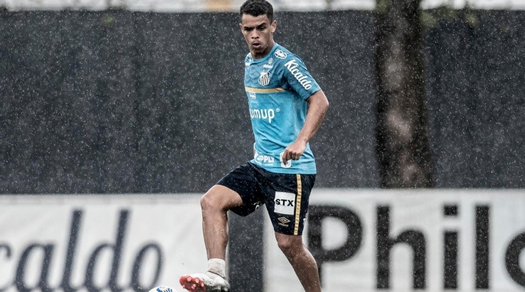 Foto: Ivan Storti/Santos FC/Divulgação - Sandry: próximo de voltar aos gramados
