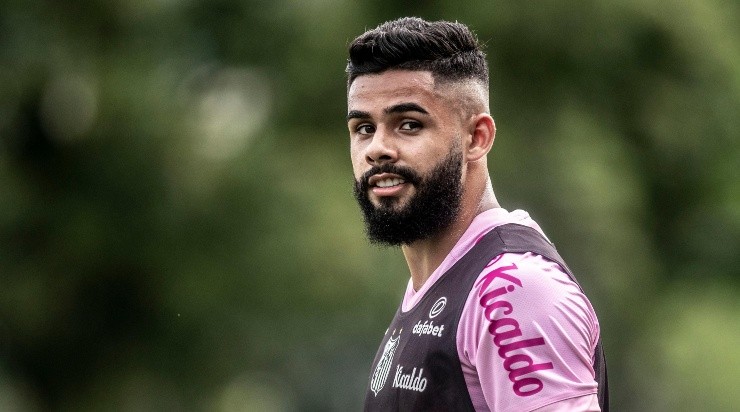 Foto: Ivan Storti/Santos FC