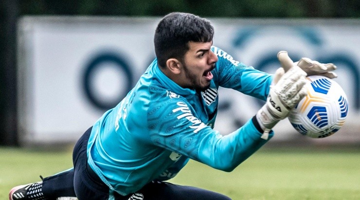 Foto: Ivan Storti/Santos FC