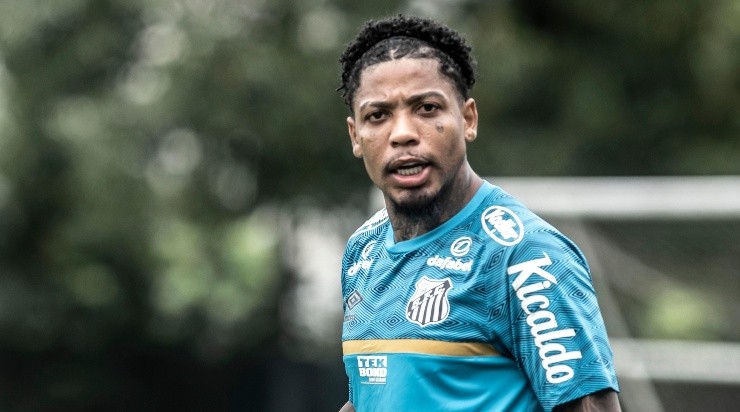 Foto: Ivan Storti/Santos FC