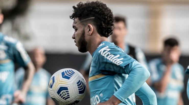 Foto: Ivan Storti/Santos FC