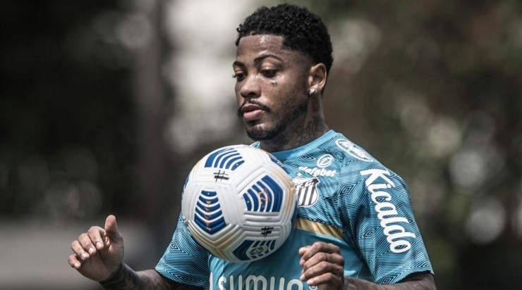 Foto: Ivan Storti/Santos FC