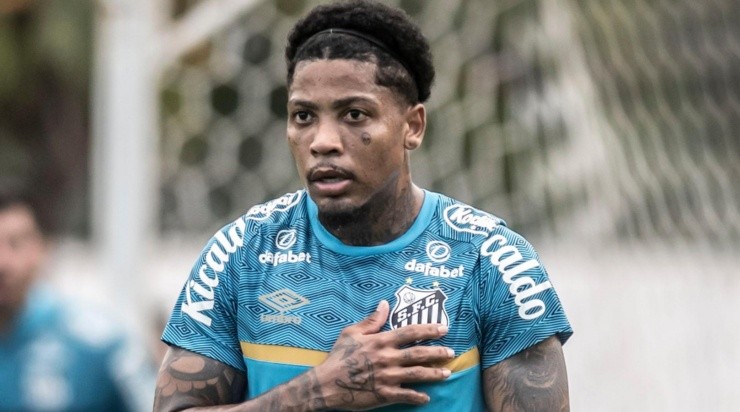 Foto: Ivan Storti/Santos FC