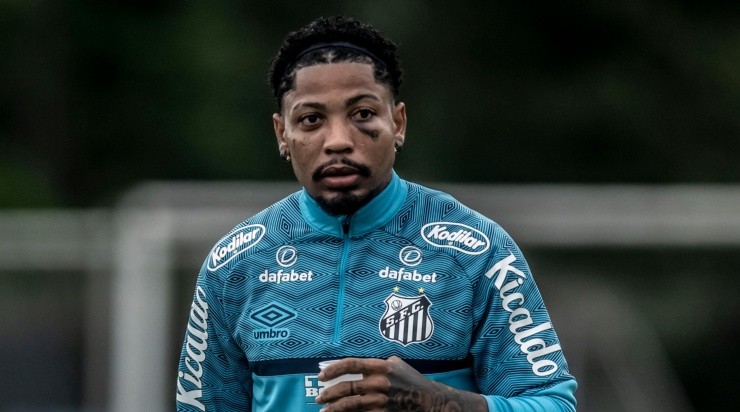 Foto: Ivan Storti/Santos FC