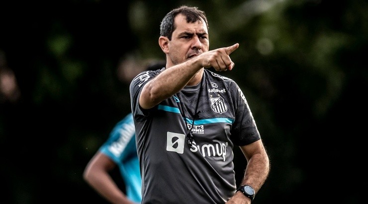 Foto: Ivan Storti/Santos FC