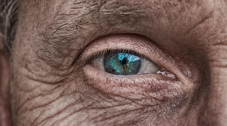 Foto: Pixabay Foto: Pixabay