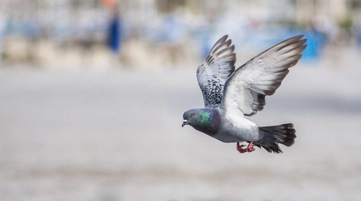 Foto: Pixabay Foto: Pixabay