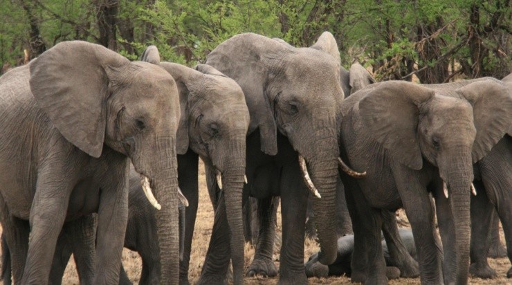 Foto: Pixabay Foto: Pixabay