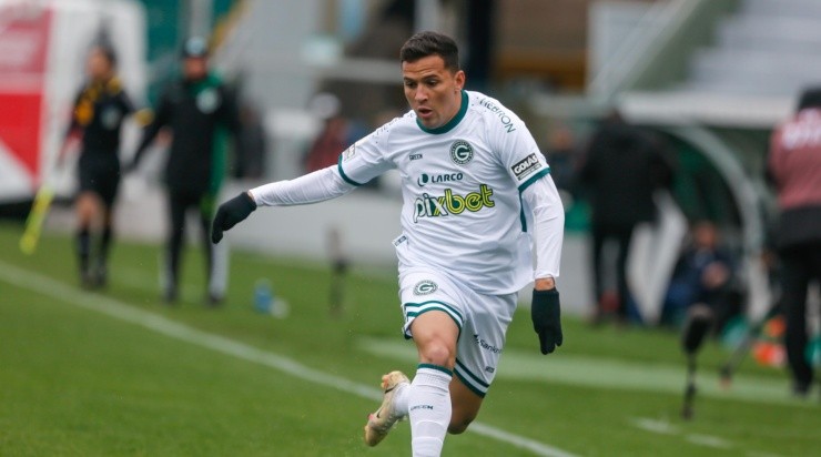 Foto: Luiz Erbes/AGIF - Dadá Belmonte se firmou no time titular ao longo do Brasileirão. Foto: Luiz Erbes/AGIF - Dadá Belmonte se firmou no time titular ao longo do Brasileirão.