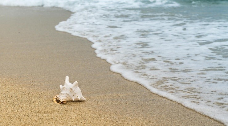 Foto: Pixabay Foto: Pixabay