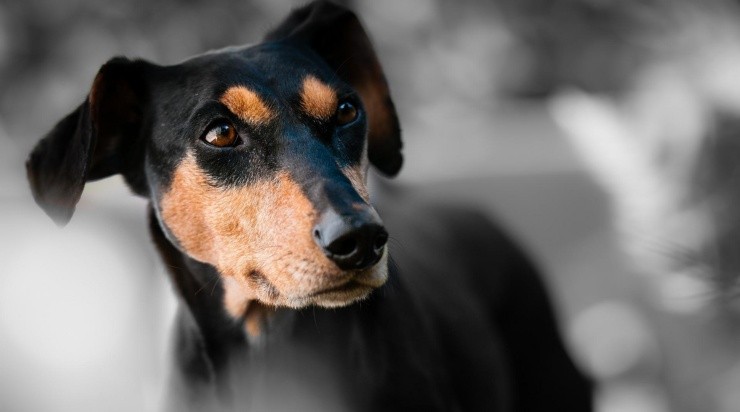 Foto: Pixabay Foto: Pixabay