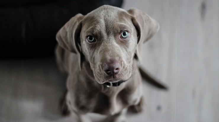 Foto: Pixabay Foto: Pixabay