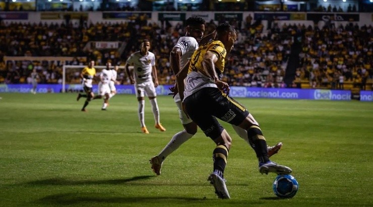 Foto: Rafael Bandeira/Sport Recife - Jogo entre Sport e Criciúma Foto: Rafael Bandeira/Sport Recife - Jogo entre Sport e Criciúma