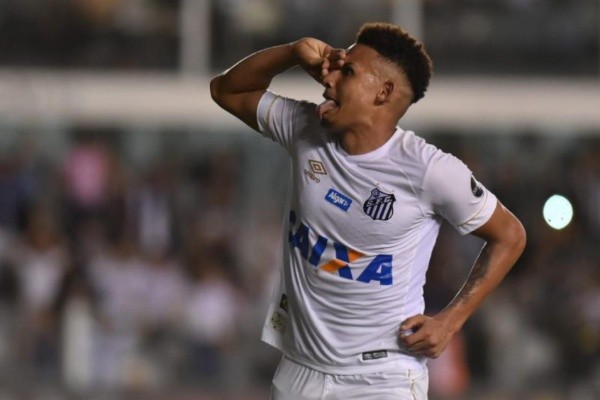 Foto: Ivan Storti/Santos