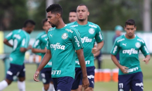 Reprodução: Palmeiras