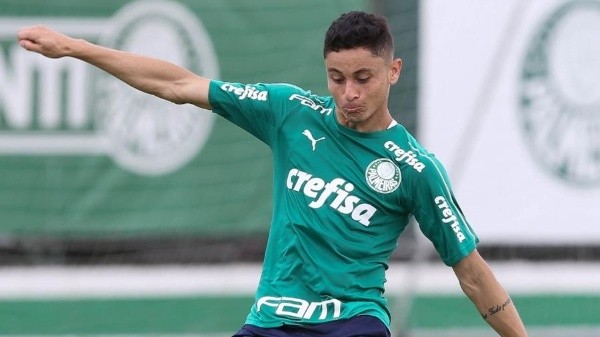 Cesar Greco/Palmeiras